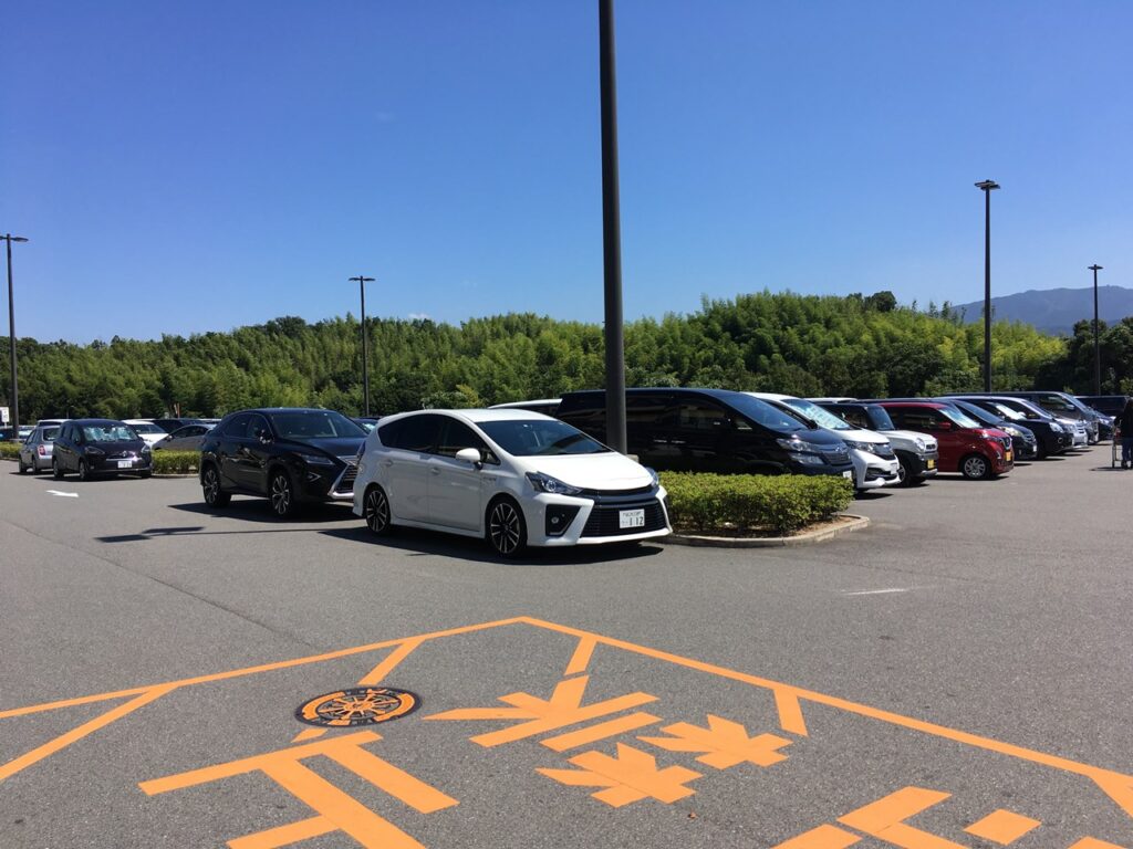 コストコ和泉倉庫店　駐車場